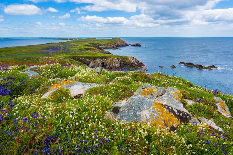 Ireland Travel Guide