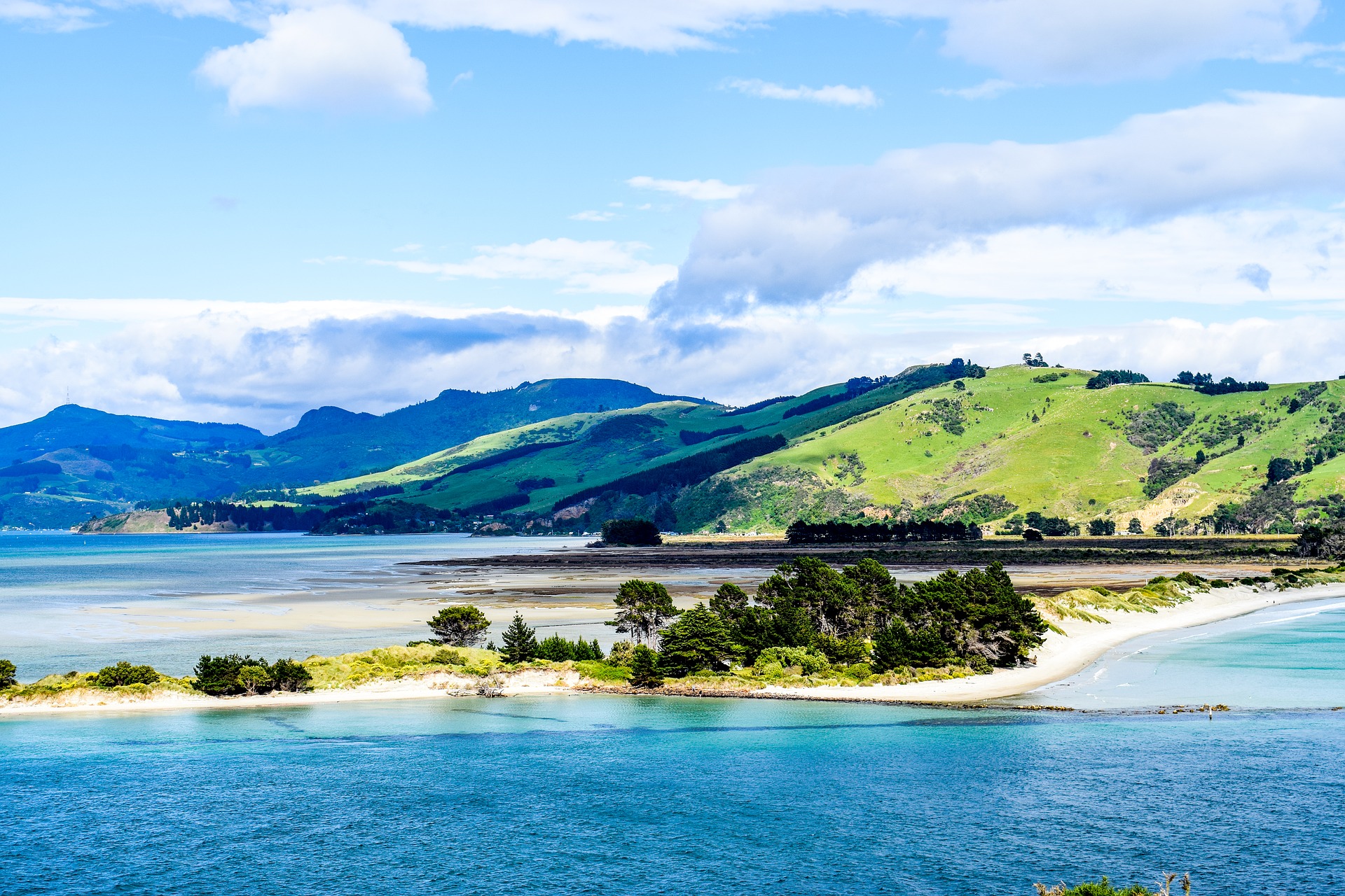 beach dunedin new zealand