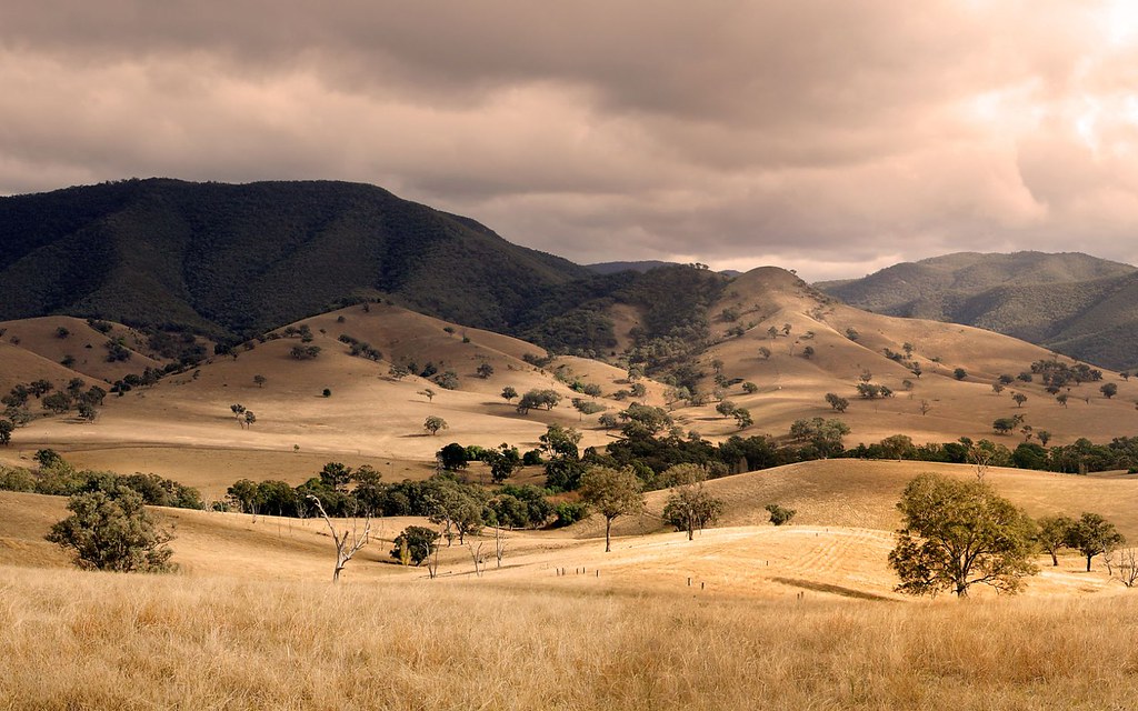 Gippsland Scenery